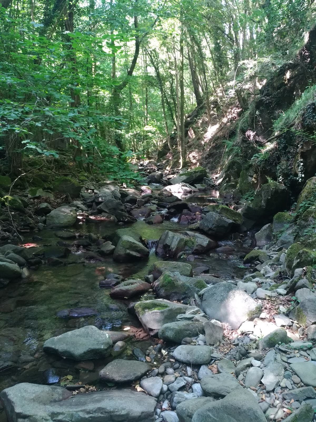 Passeggiata sul Bisenzio - Image 1