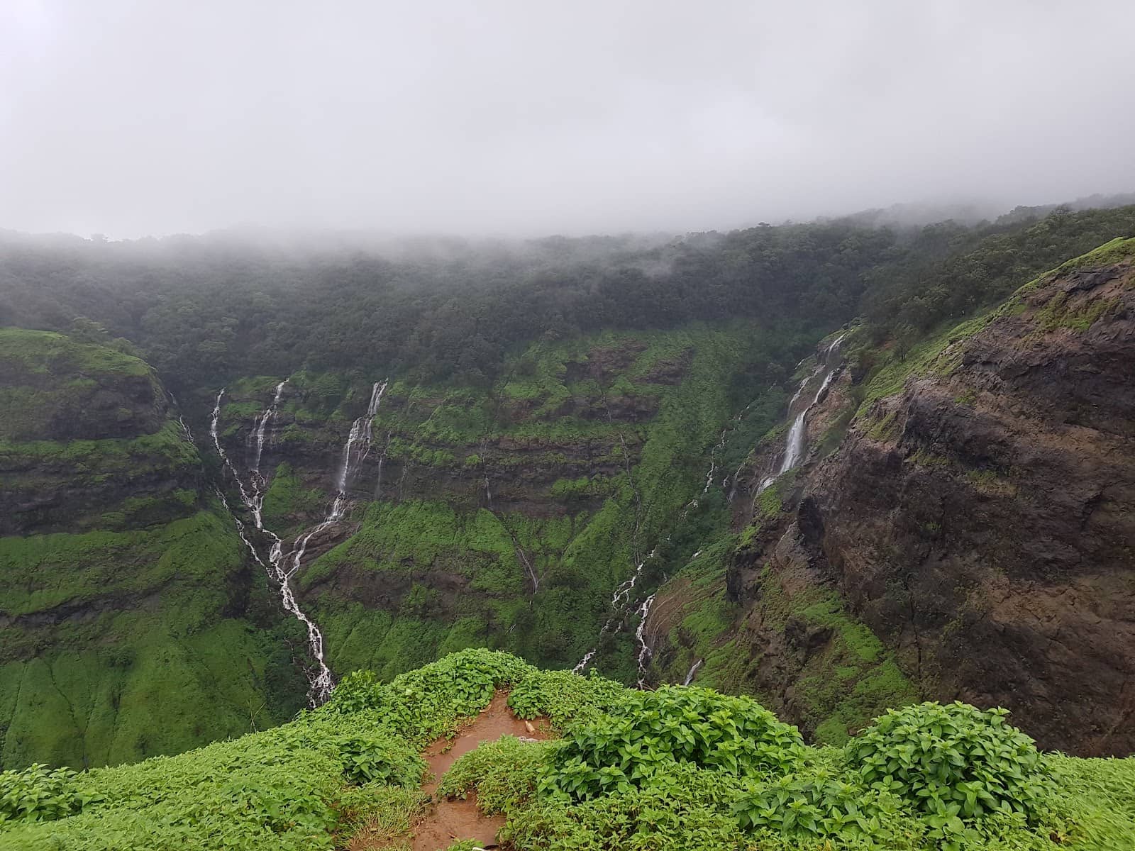 Prince Henry Cliff Walk