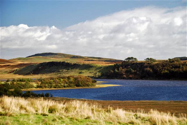 Picturesque Views