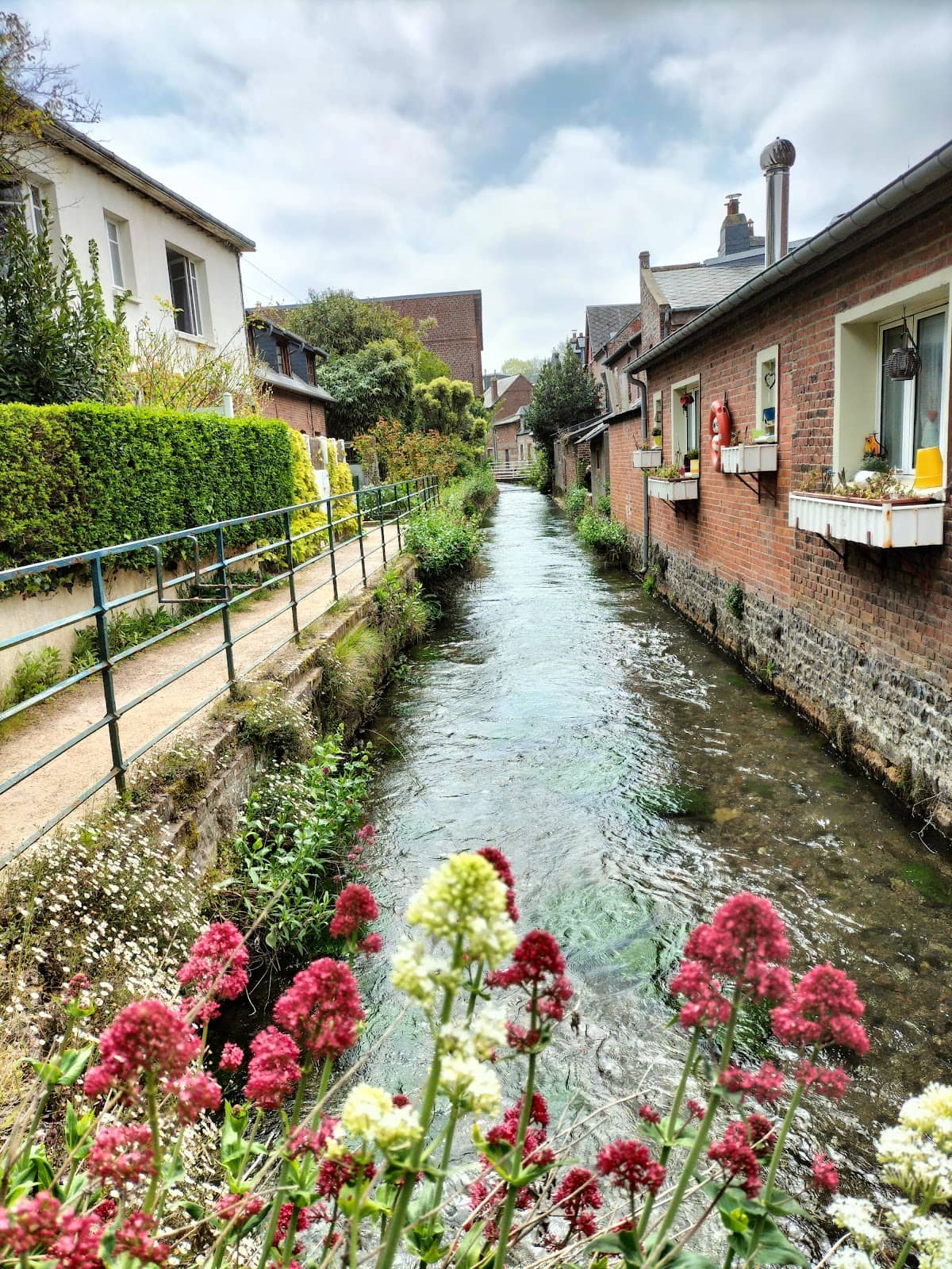 Columbage Houses & Roses
