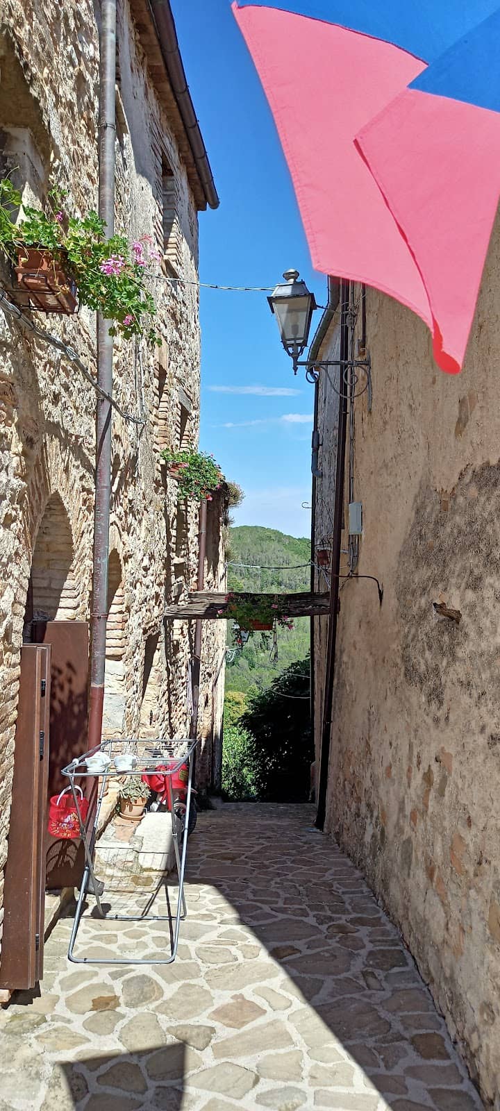 Vertical photo