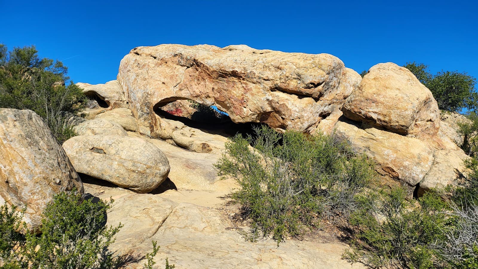 Lizard's Mouth - Image 1