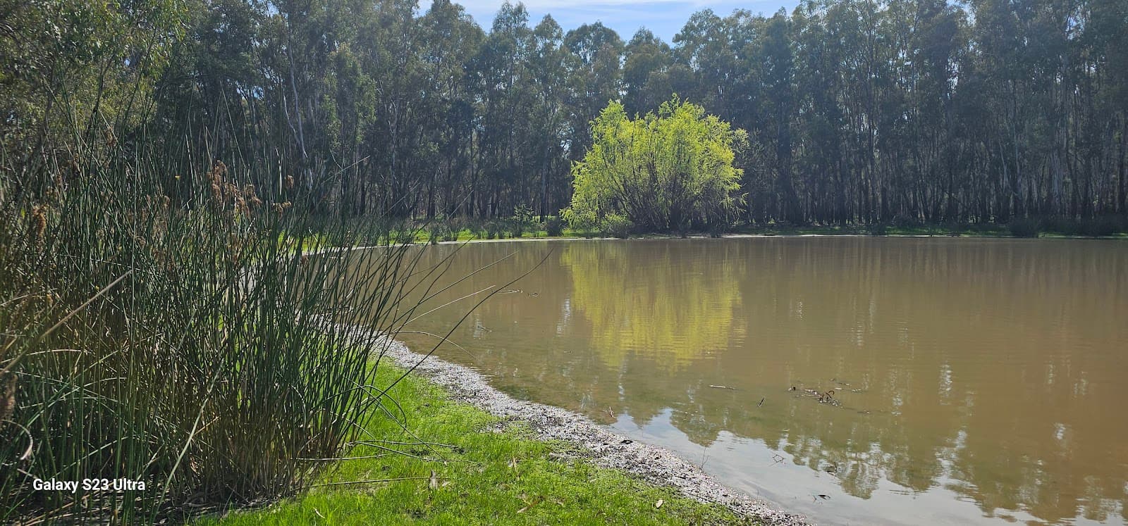 Lake Moodemere Reserve - Image 1