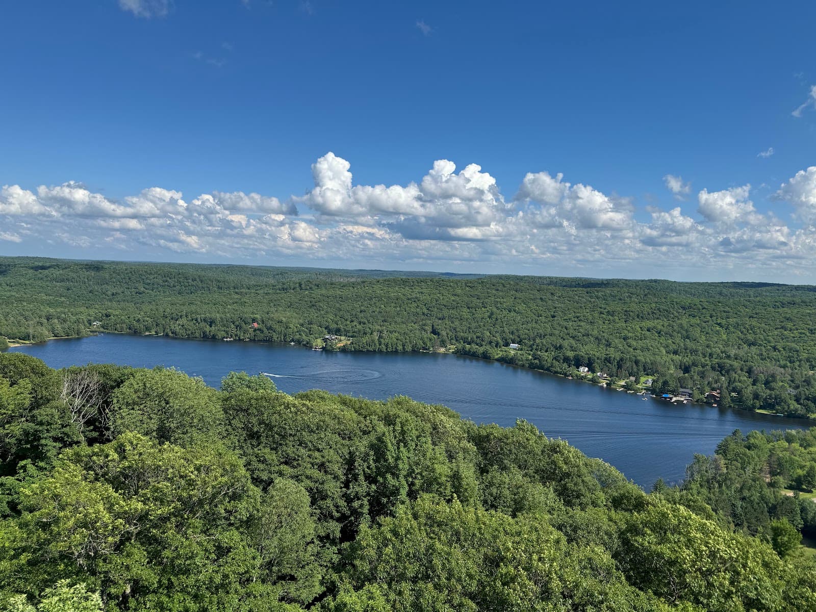 Dorset Scenic Lookout Tower - Image 1