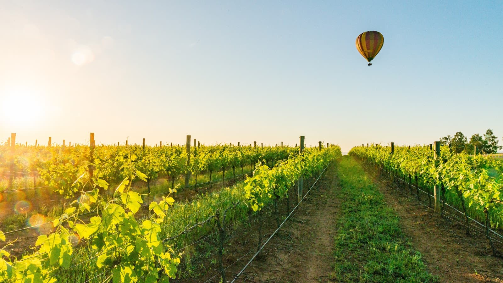 Balloon Aloft Hunter Valley - Image 1