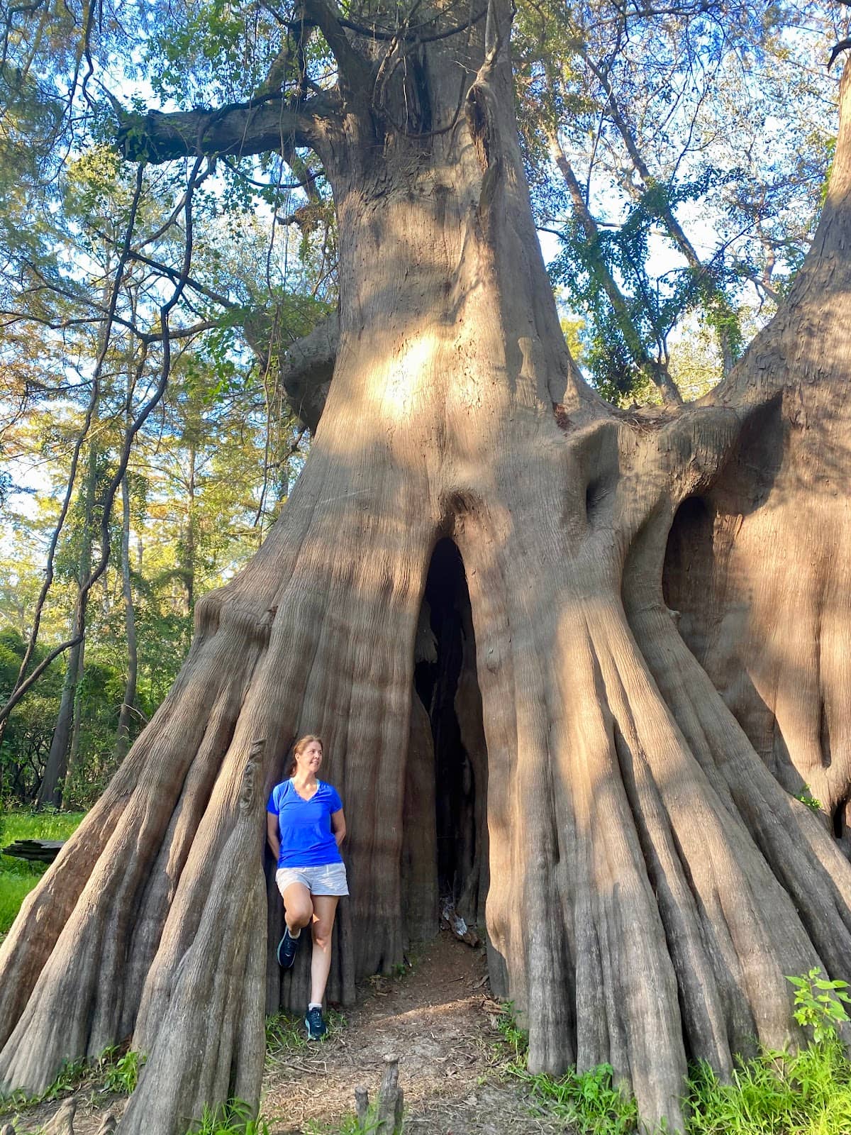 Swampy Trail Exploration