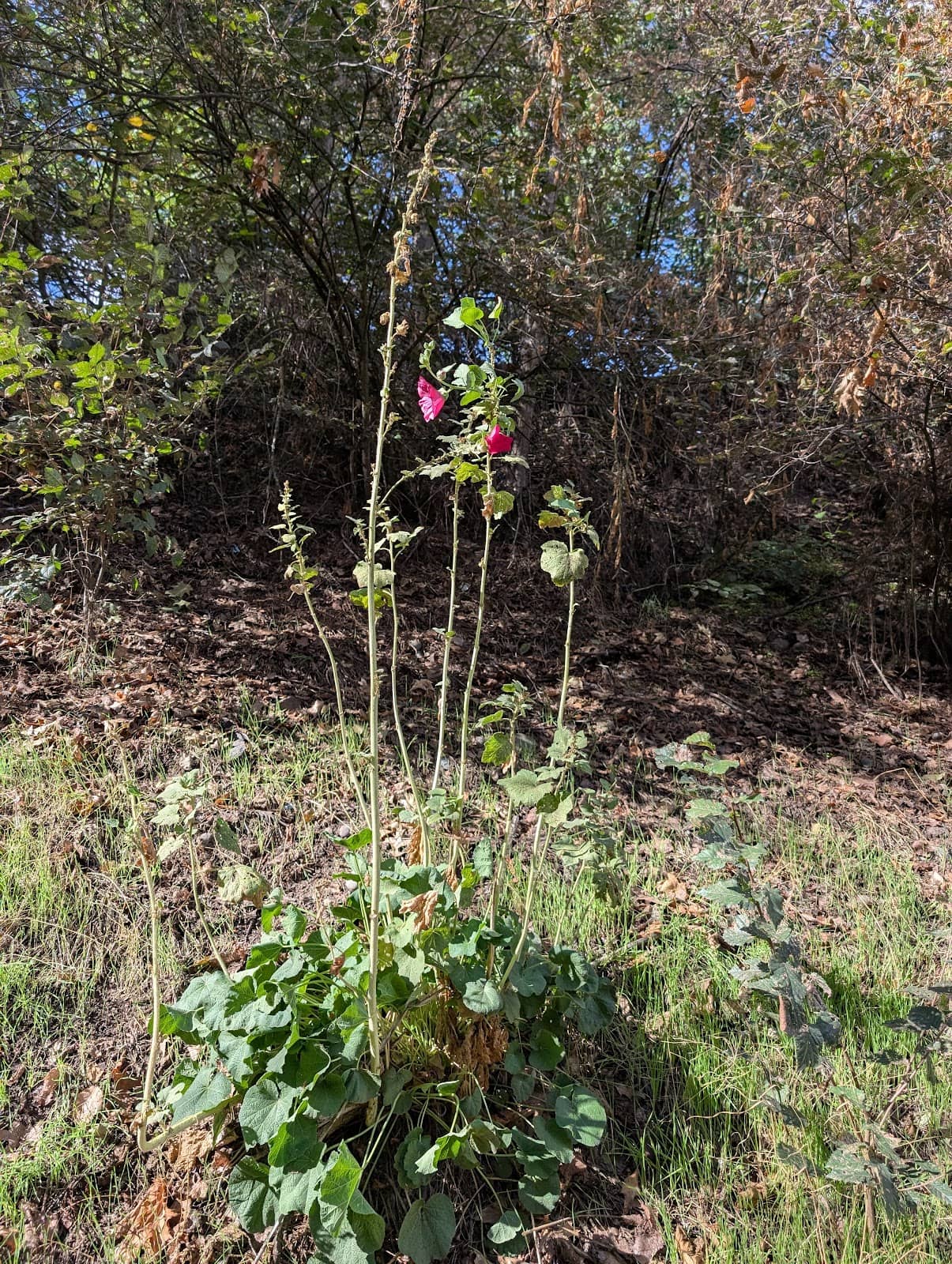 Vertical photo