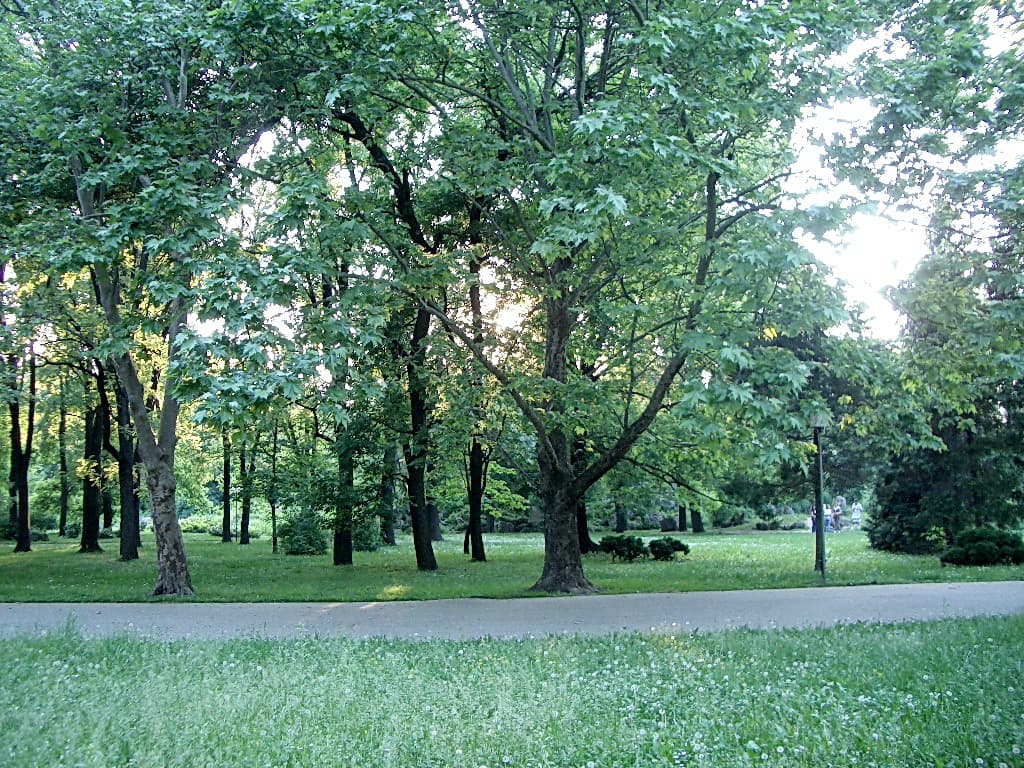 Youth Park (Mladezhki Park) - Image 1