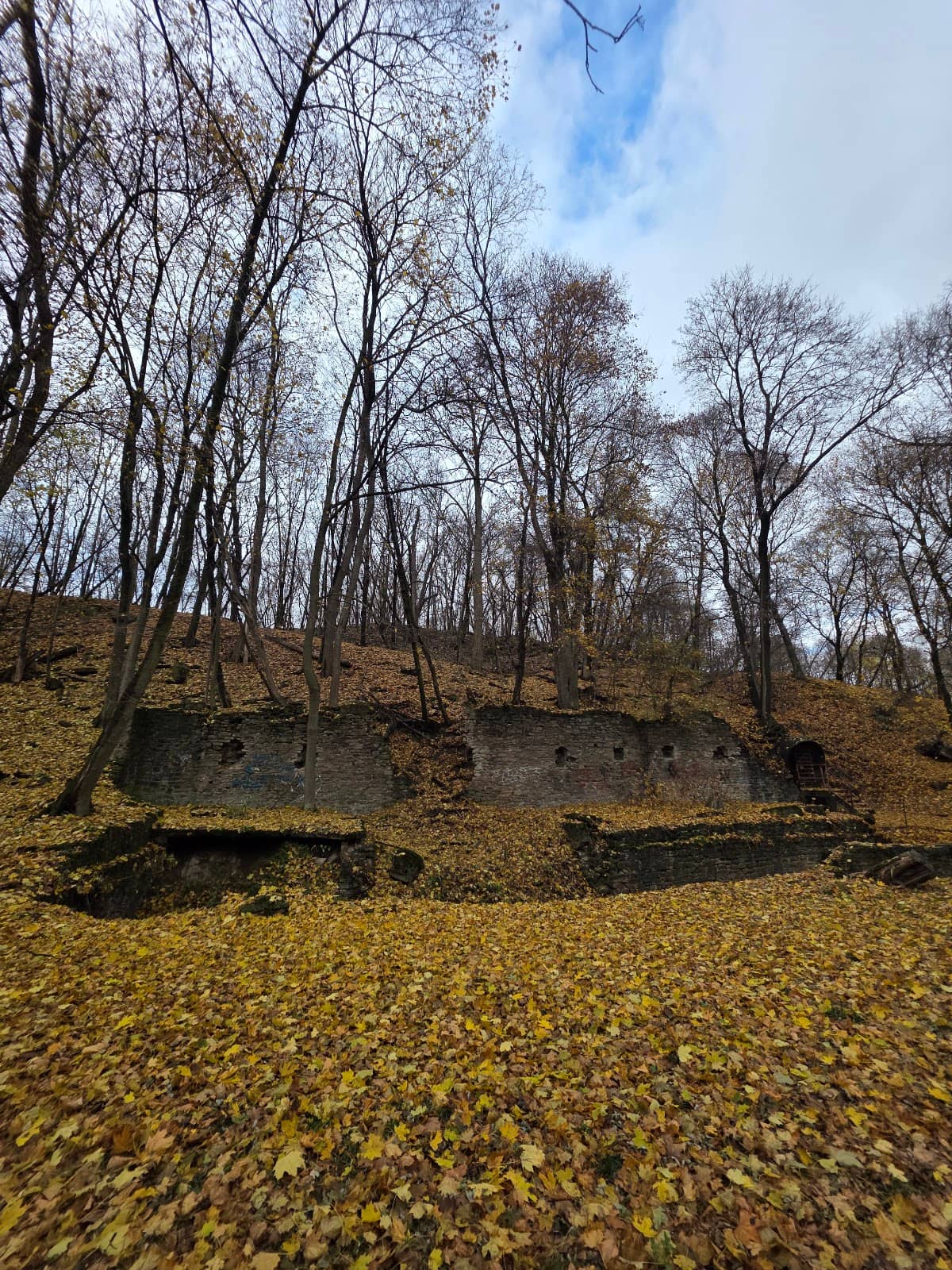Woodland Trails