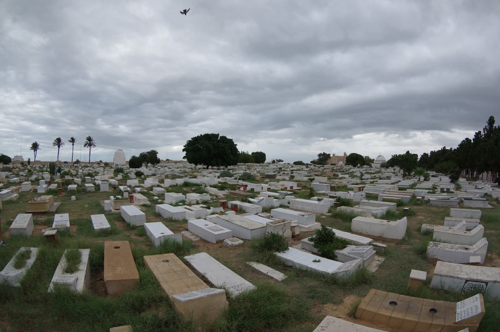 Monastir Sea Cemetery Tunisia - Image 1