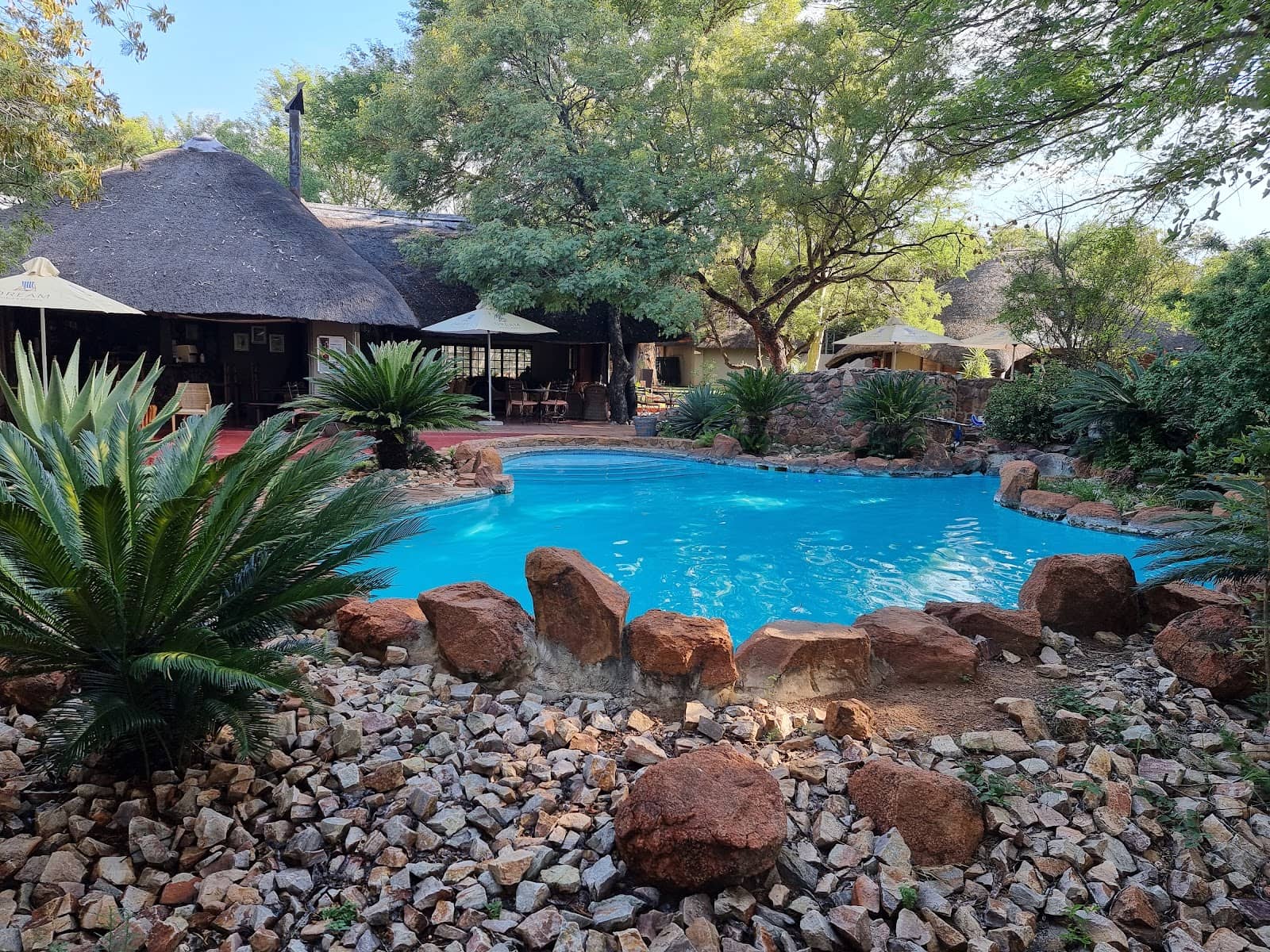 Game Viewing Opportunities