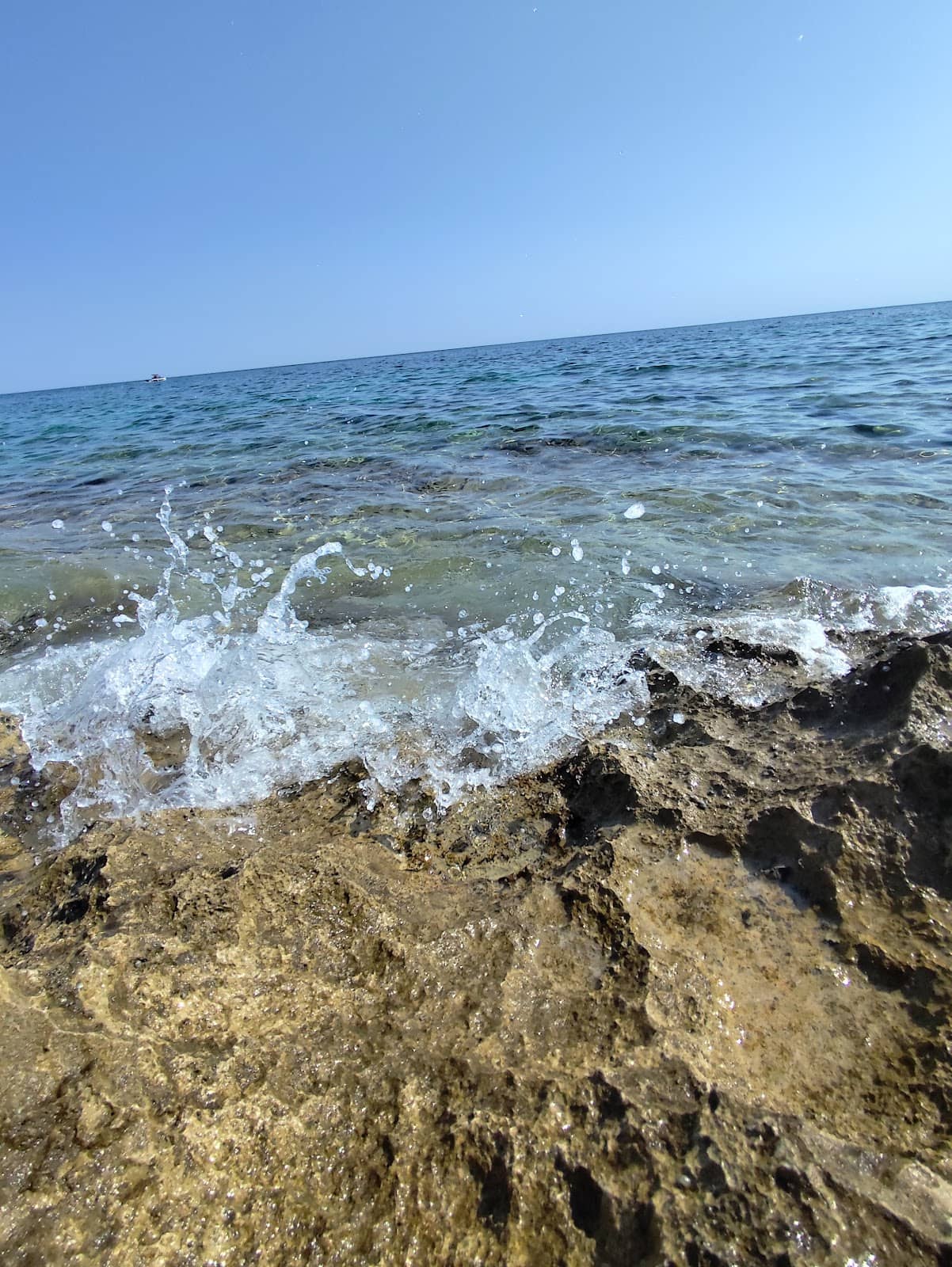 The 'Fish Spa' Phenomenon