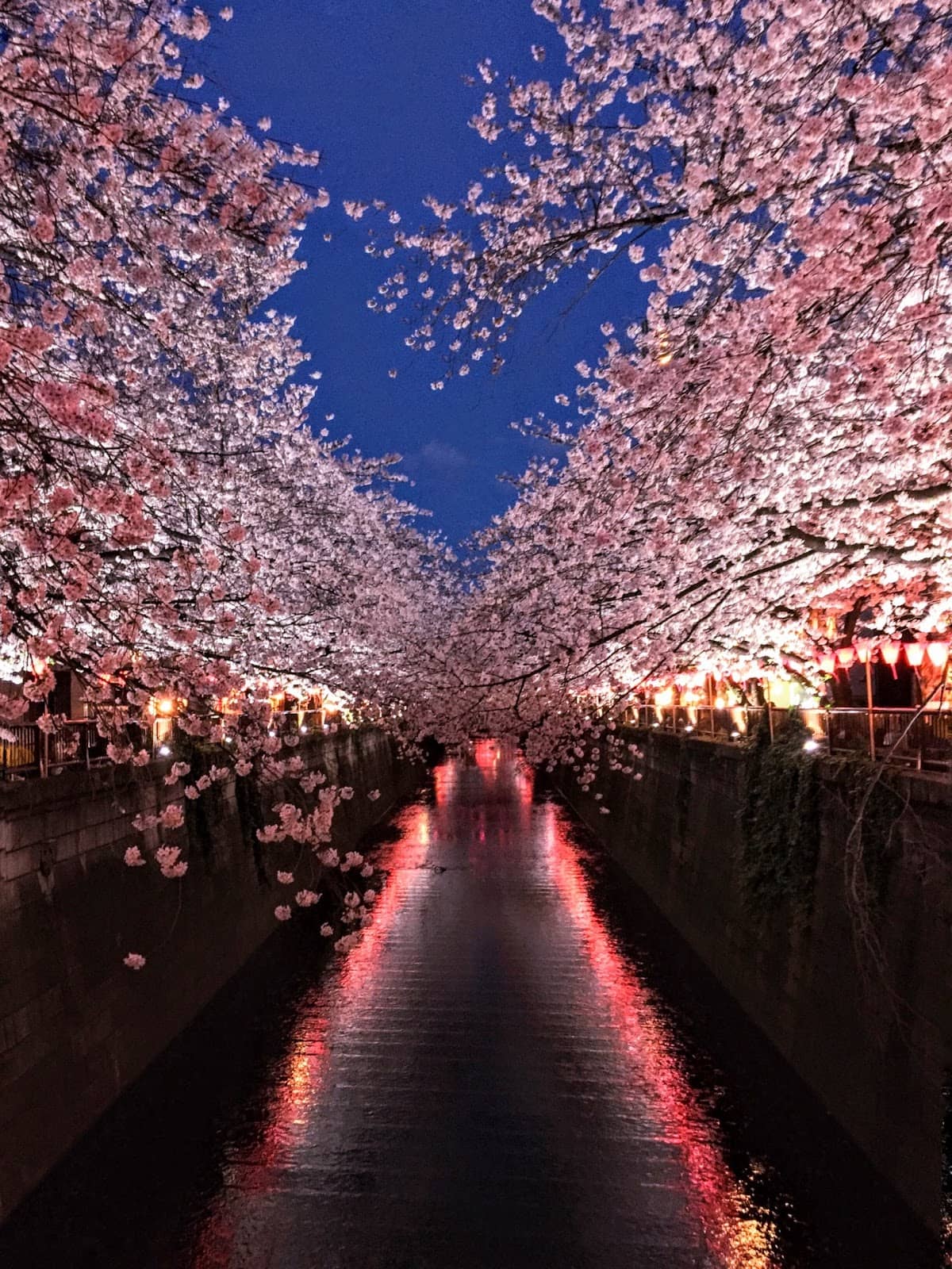 Riverside Cafes and Restaurants