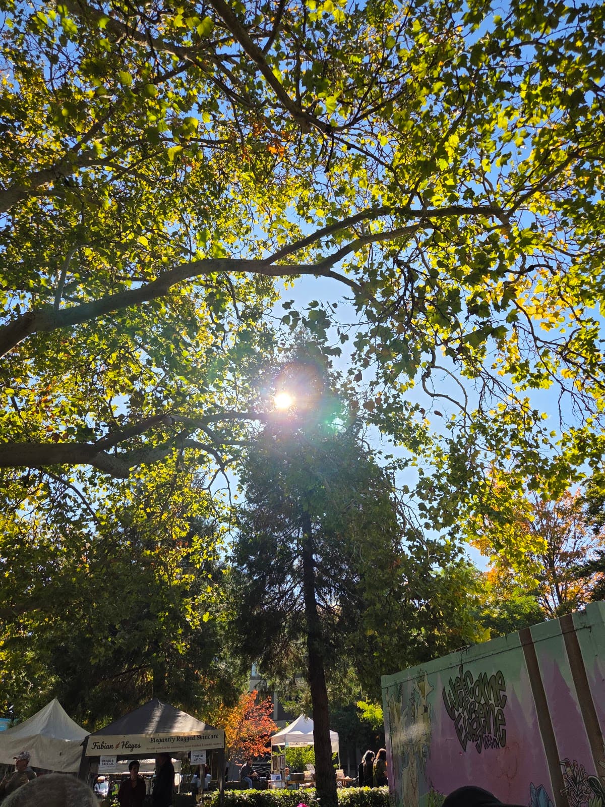 Park Blocks - Image 1