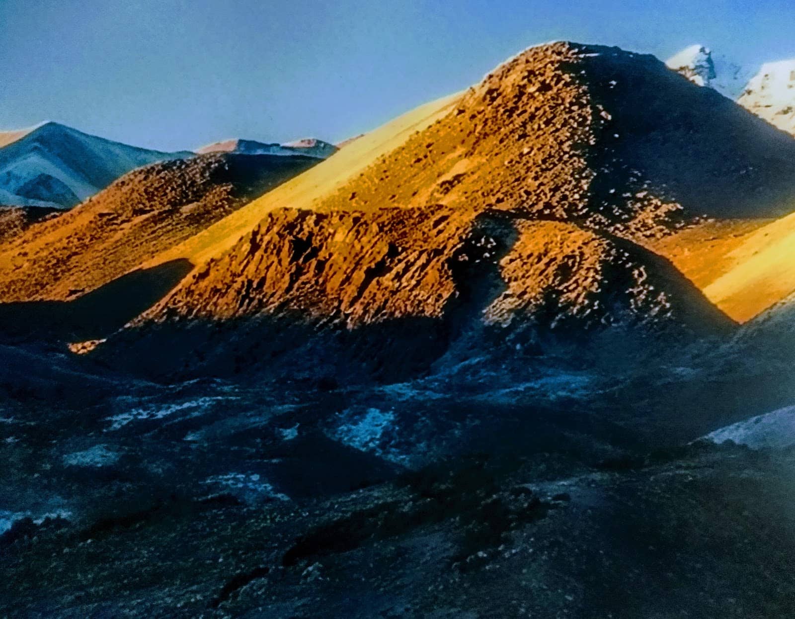 Vertical photo