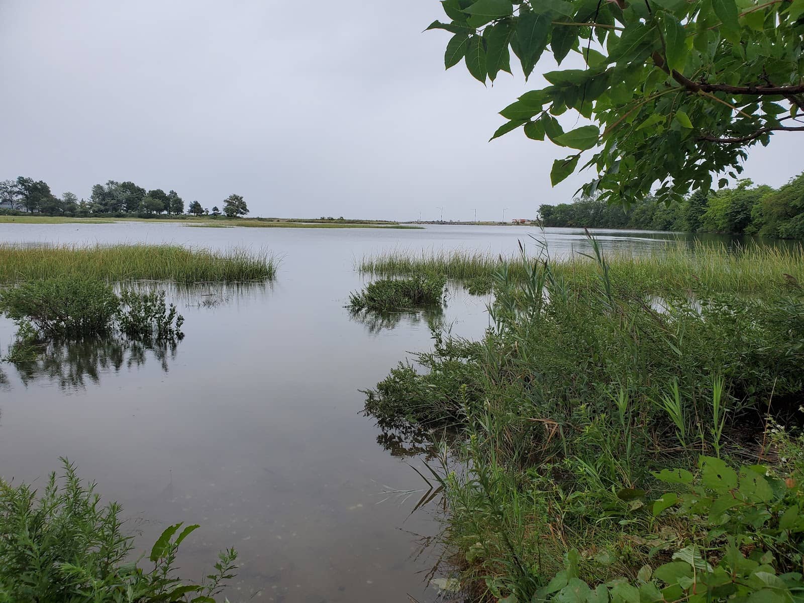 Scenic Walking Trails