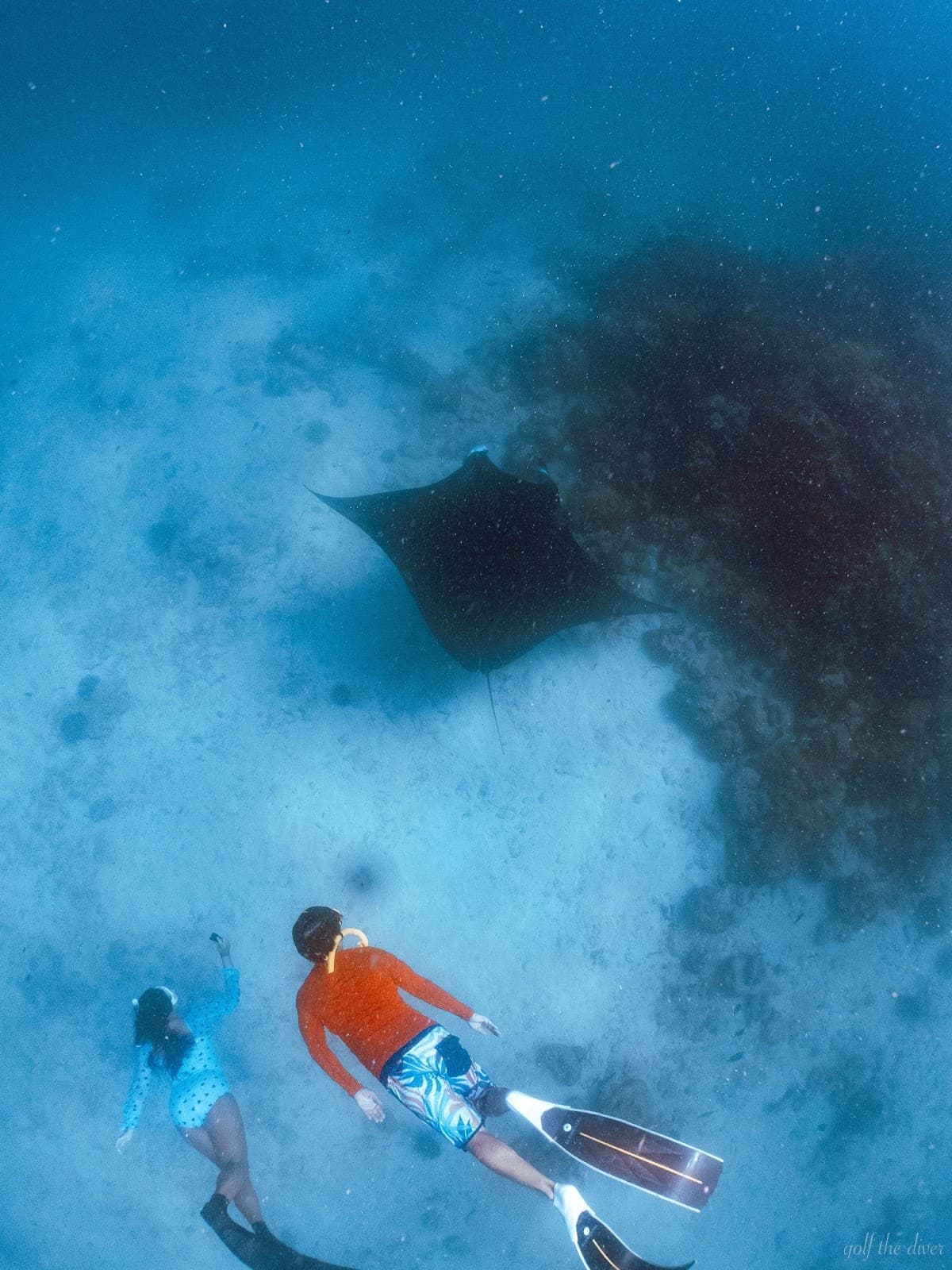 Hanifaru Bay - Image 1