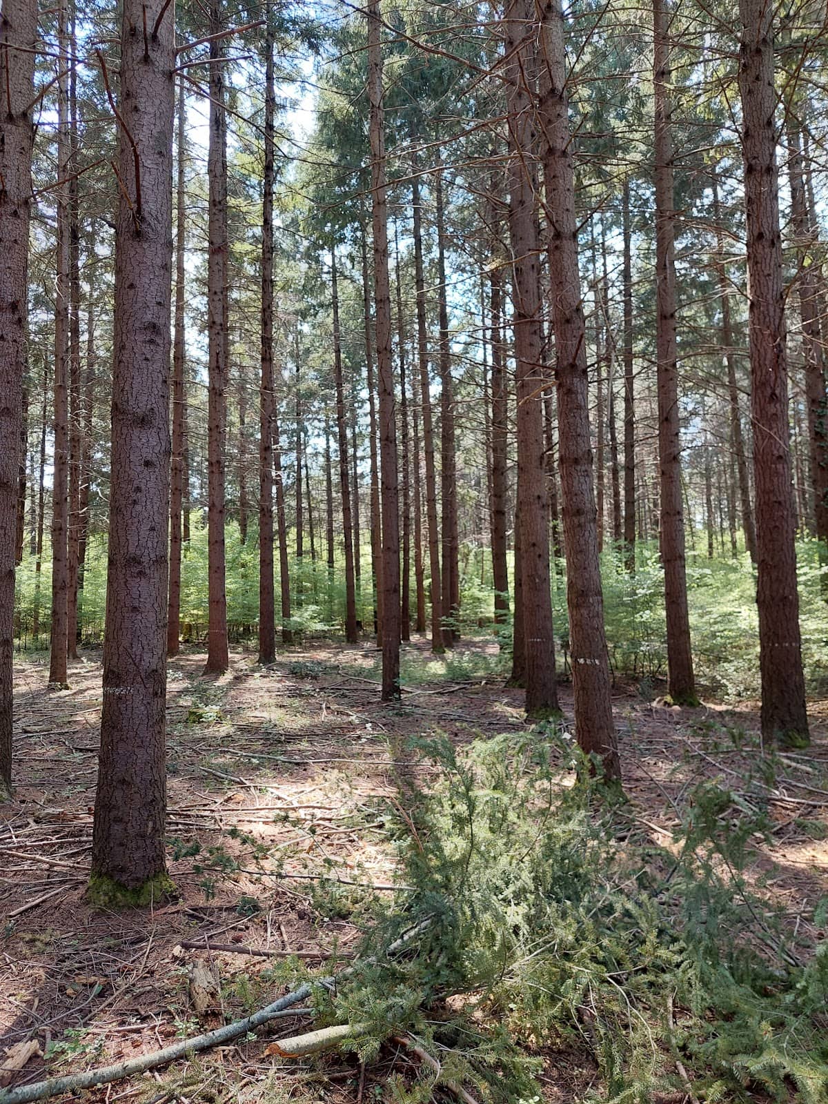 Vertical photo