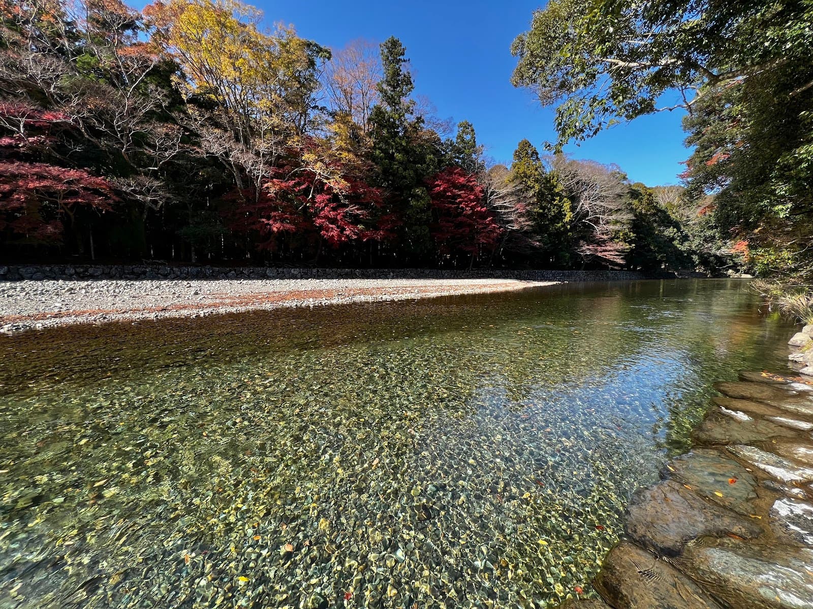 Isuzu River Mitarashi - Image 1
