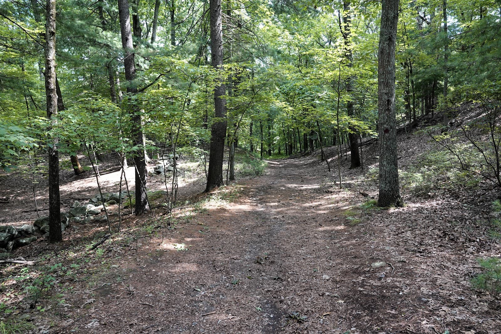 Moose Hill Farm - Image 1