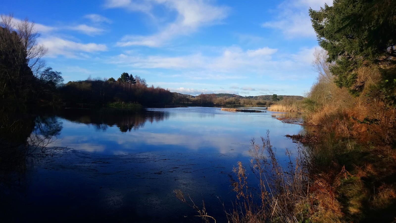 Tentsmuir National Nature Reserve - Image 1