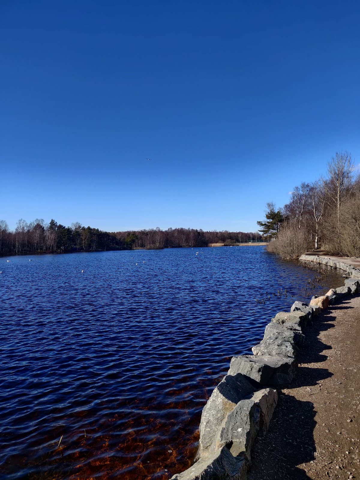 Svarte Mosse Park - Image 1