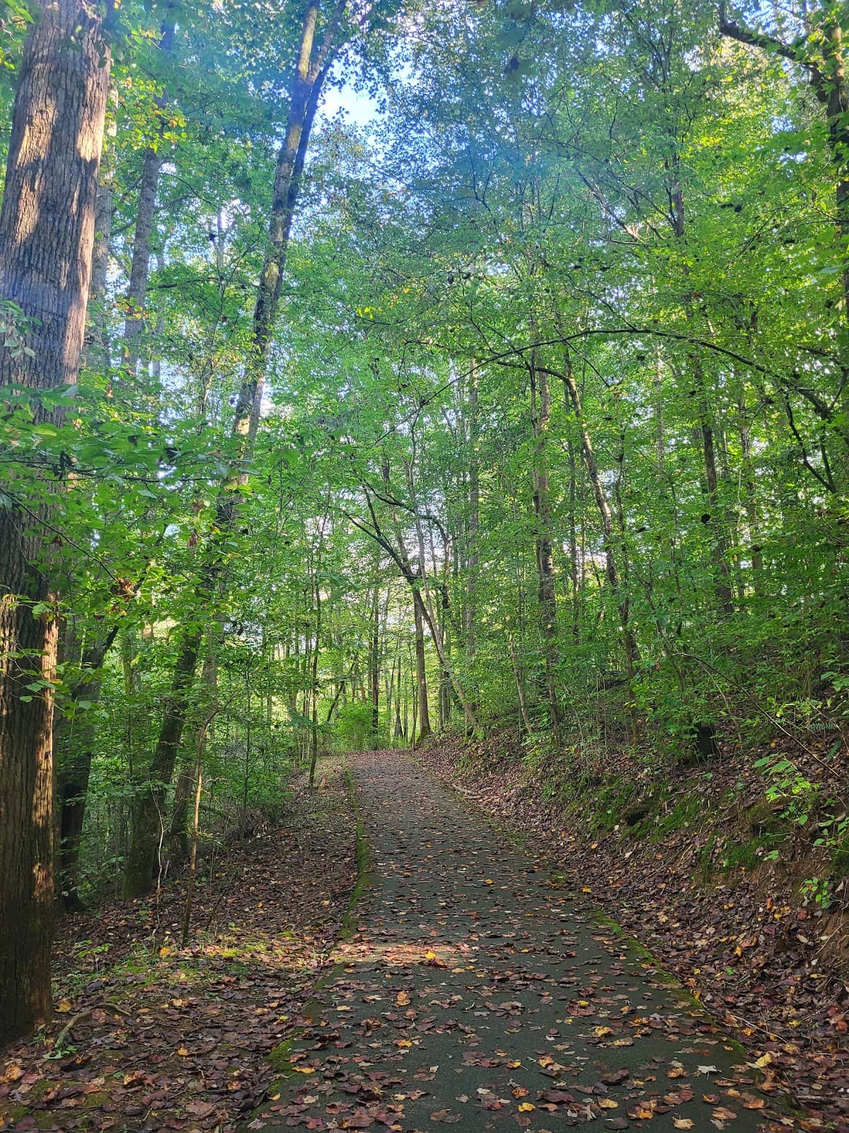 Easy Nature Trails