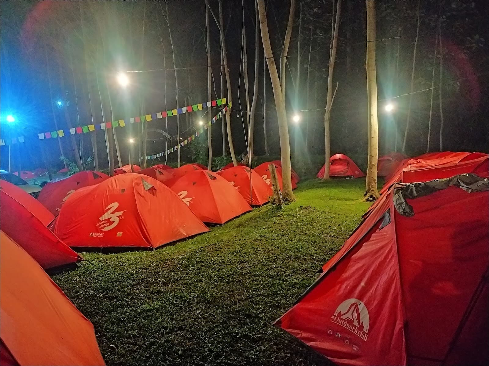 Songgon Pine Forest - Image 1