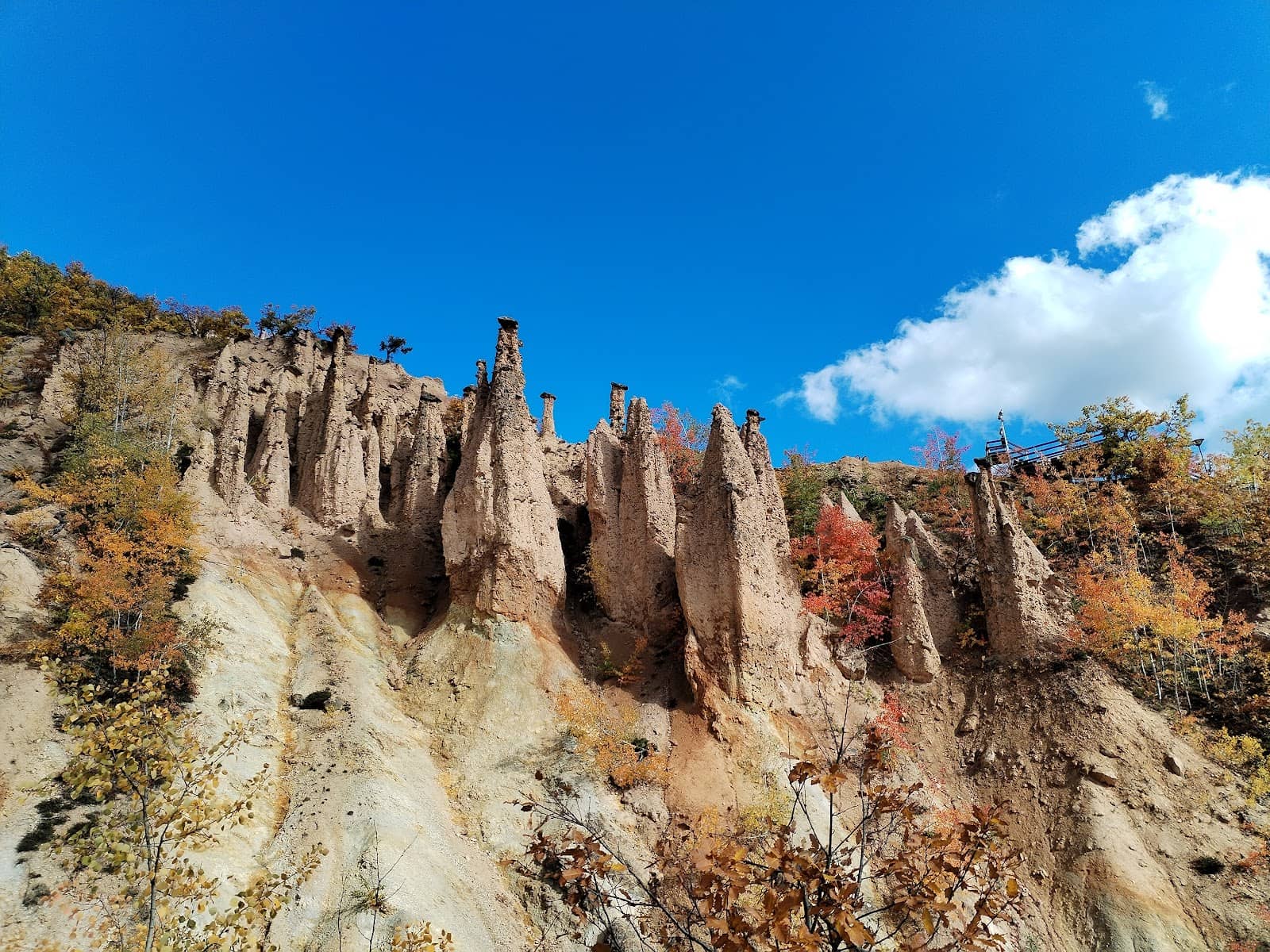 Panoramic Viewing Platforms
