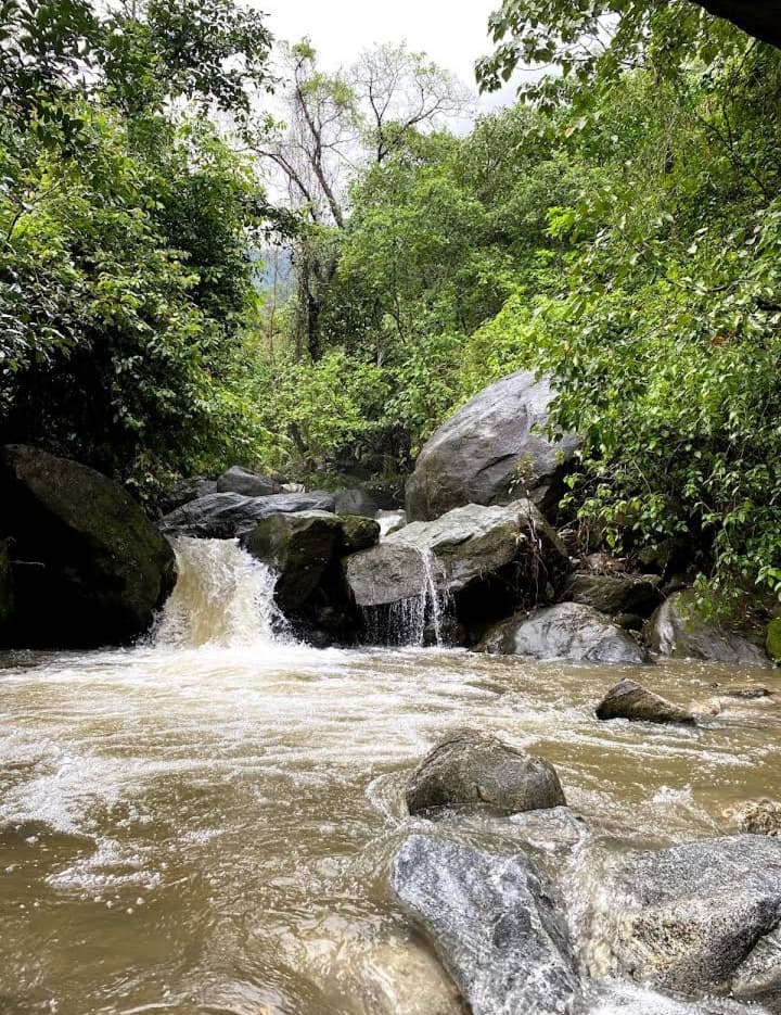 Malabar Wildlife Sanctuary - Image 1