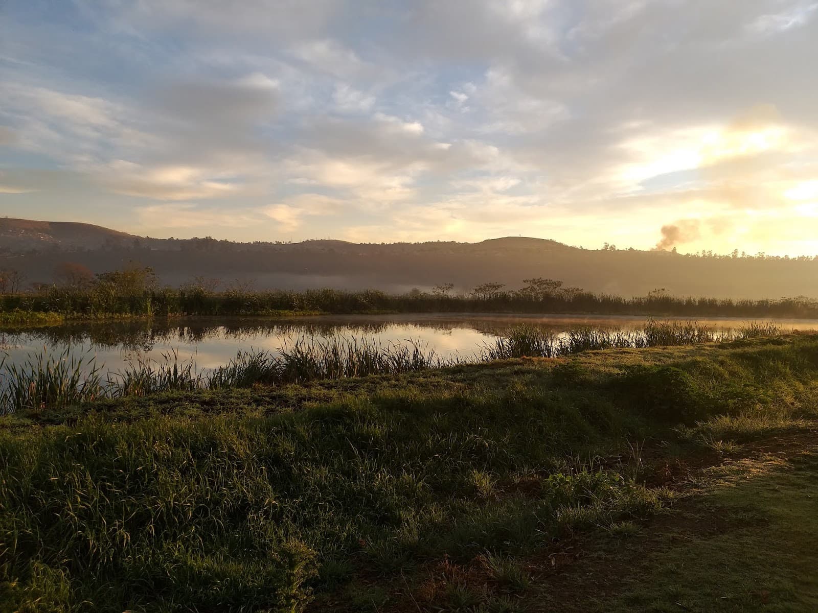 Darvill Bird Sanctuary - Image 1