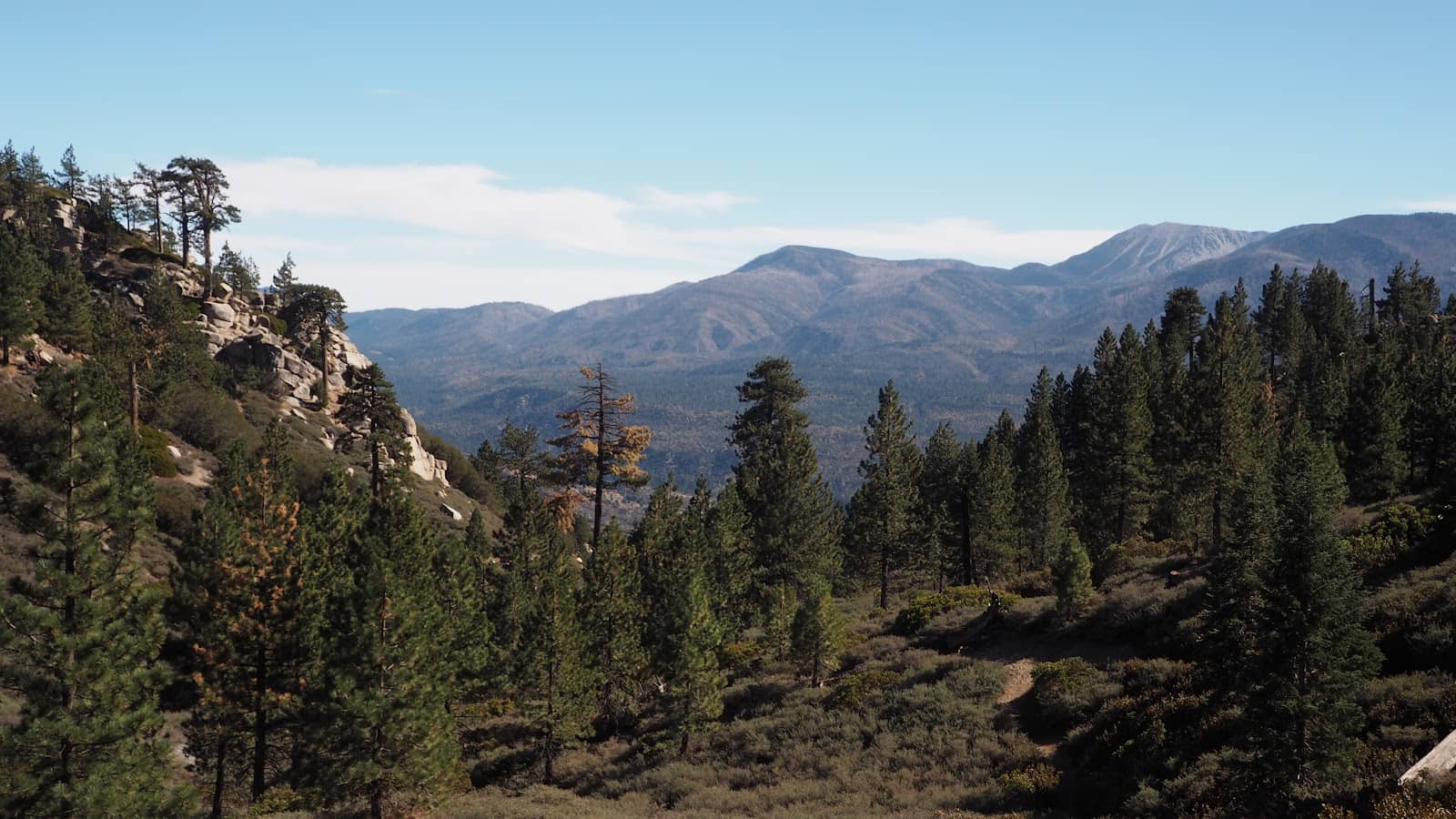 Scenic Forest Road Drive