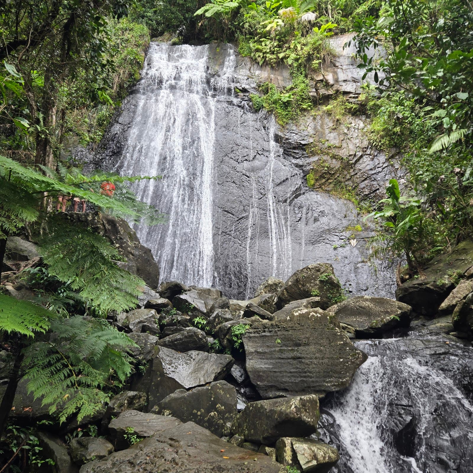 La Coca Falls - Image 1