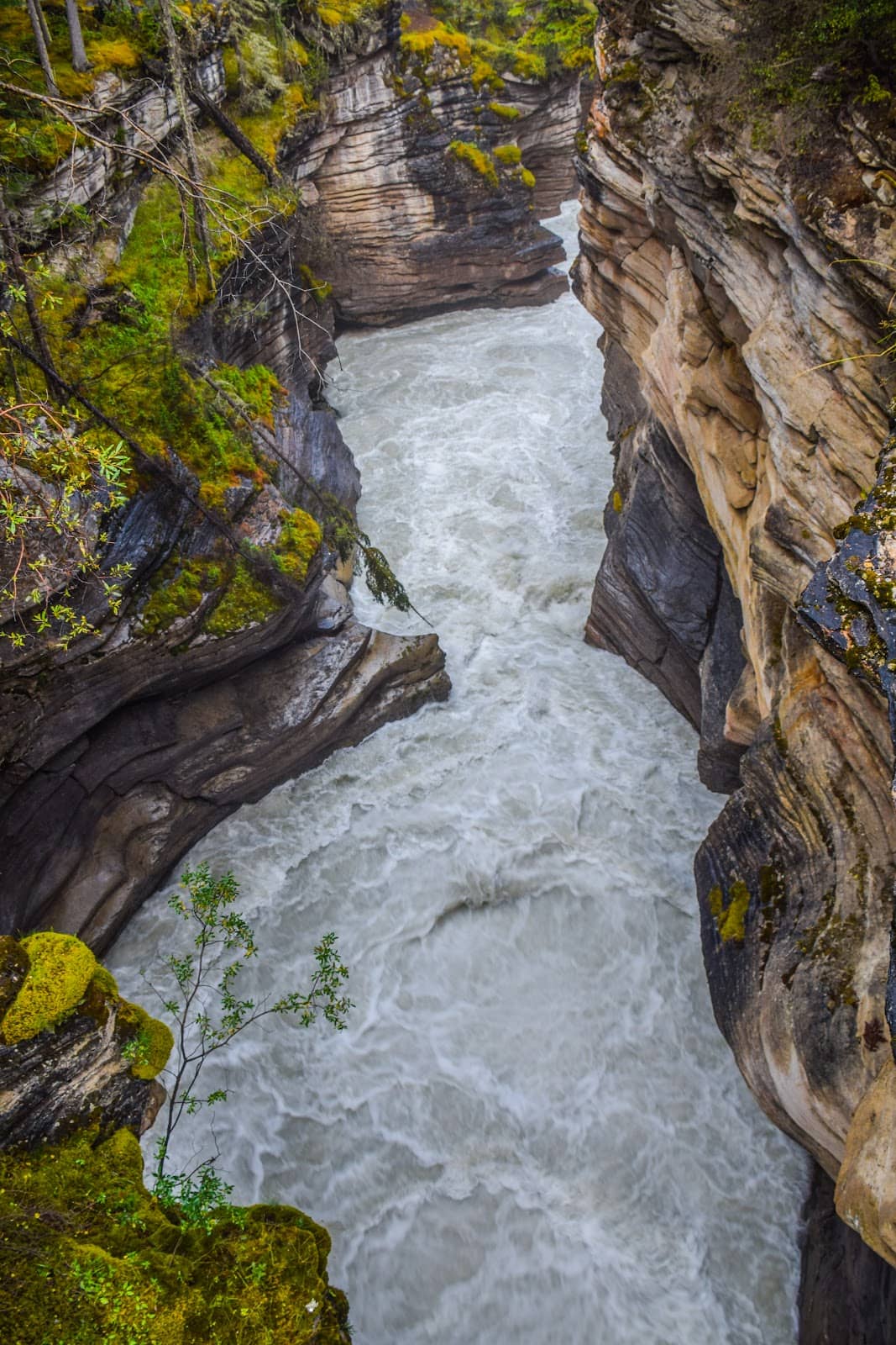 Vertical photo