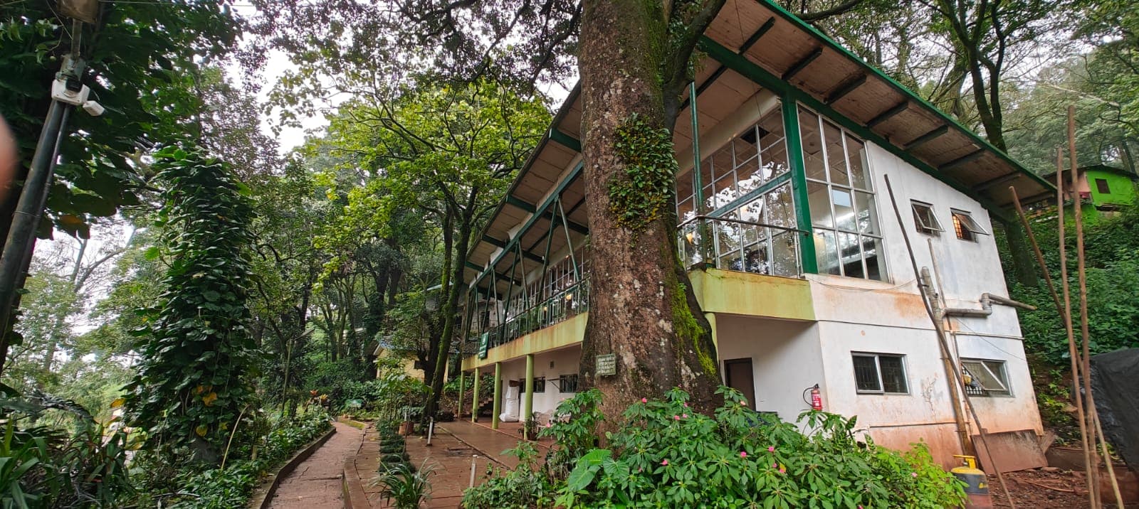 Kemmangundi Hill Station Karnataka - Image 1