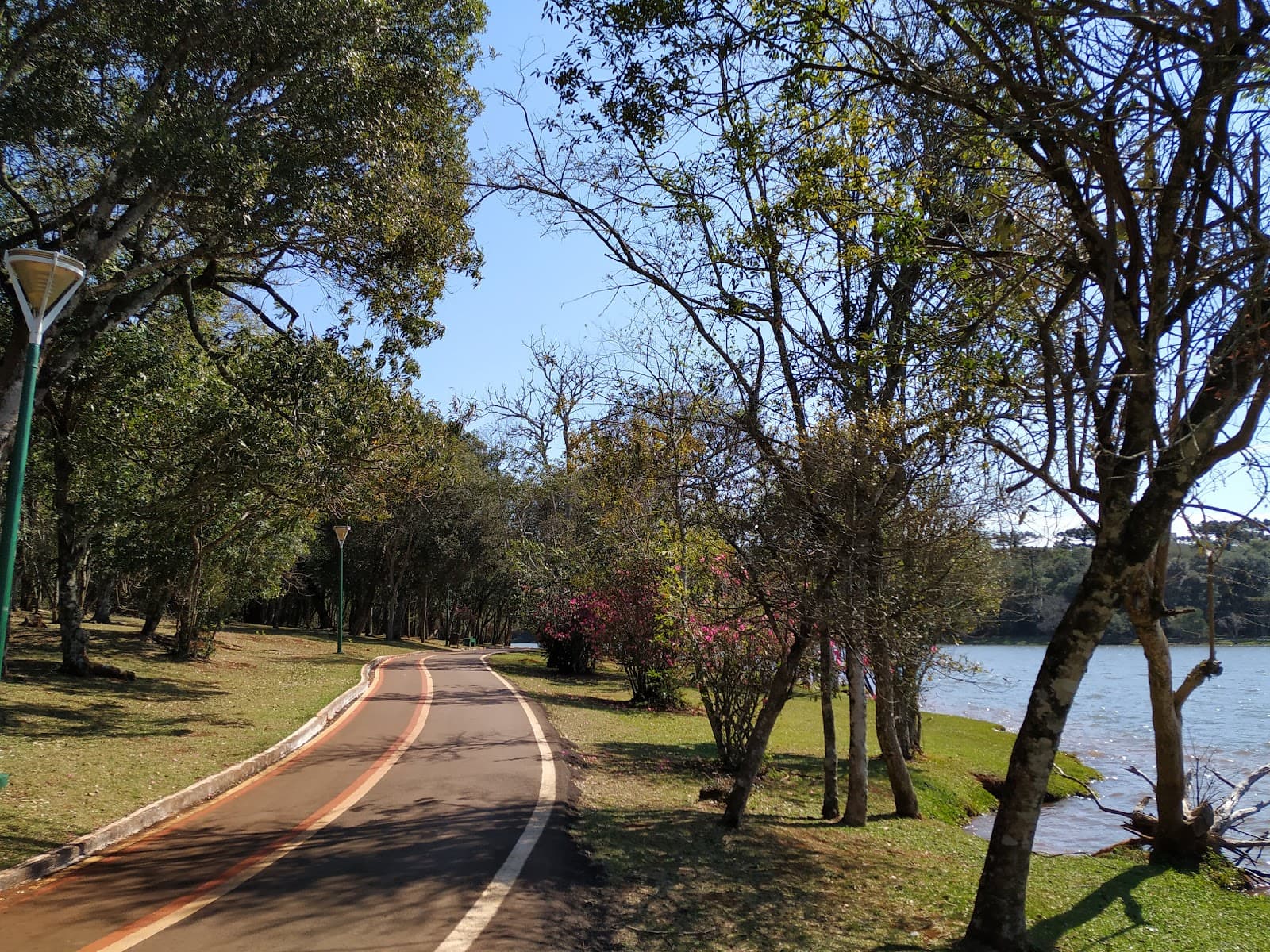 Lago Municipal Cascavel Brazil - Image 1