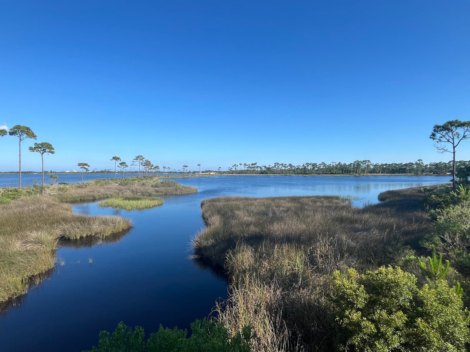 Pine Beach Trail Bon Secour - Image 1