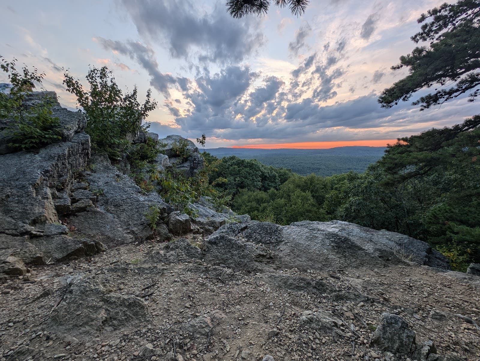 Michaux State Forest - Image 1
