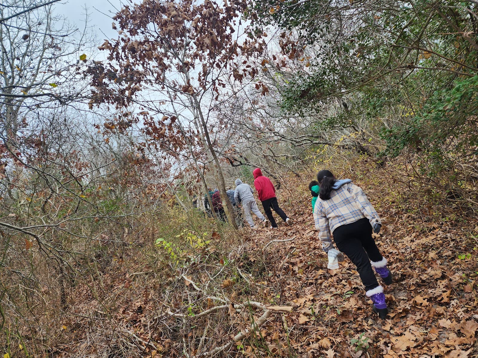 Seal Haulout Montauk Point - Image 1