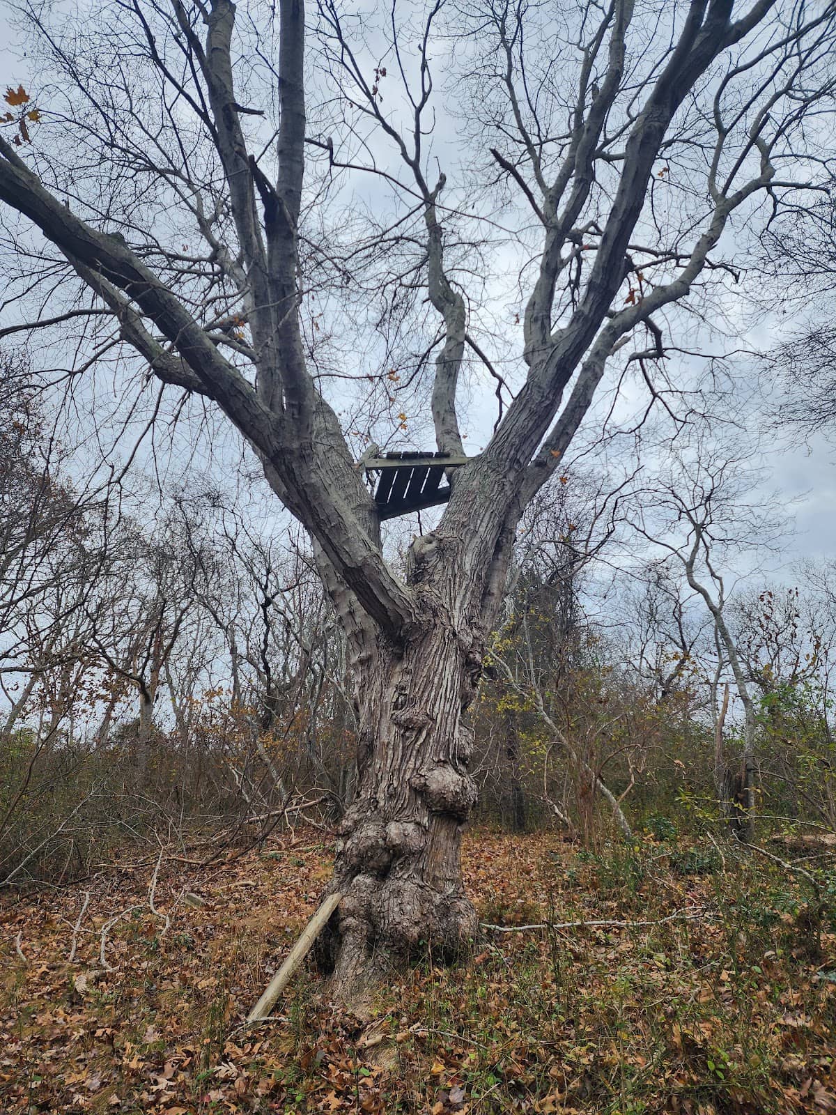 Vertical photo