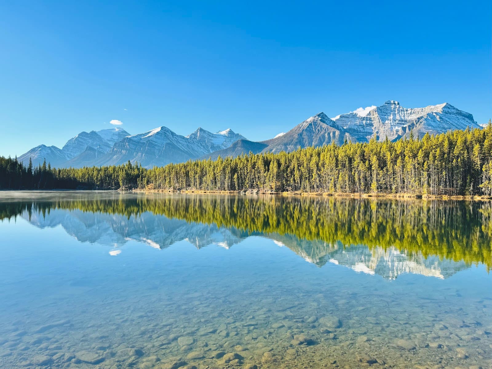 Herbert Lake - Image 1