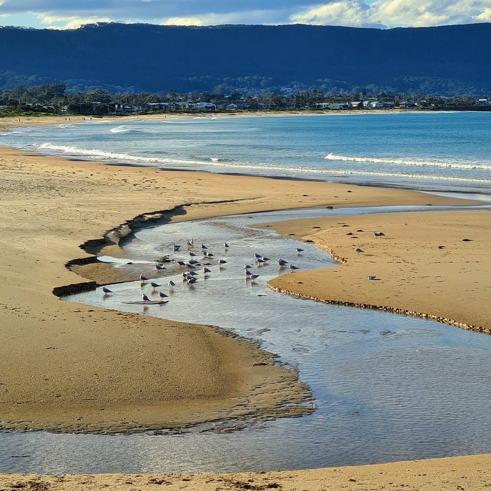 Bellambi Beach - Image 1