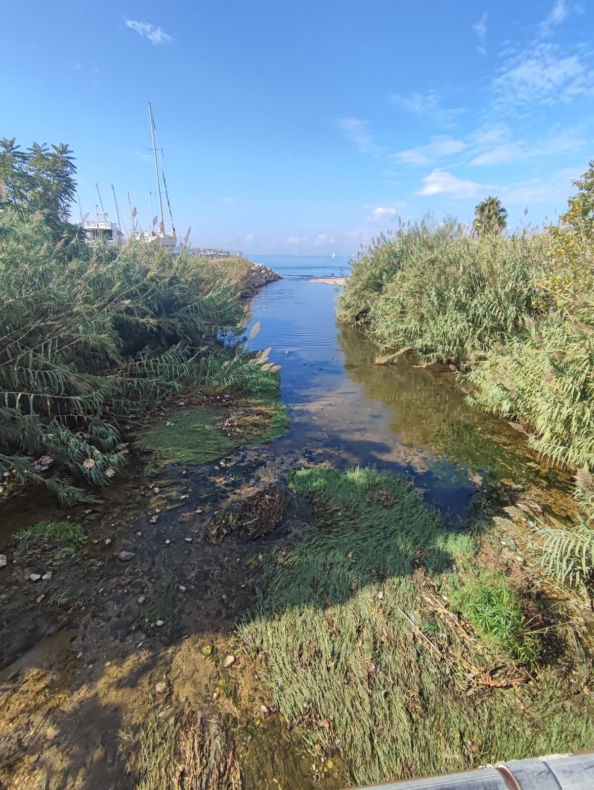 Pikrodafni Stream Estuary - Image 1