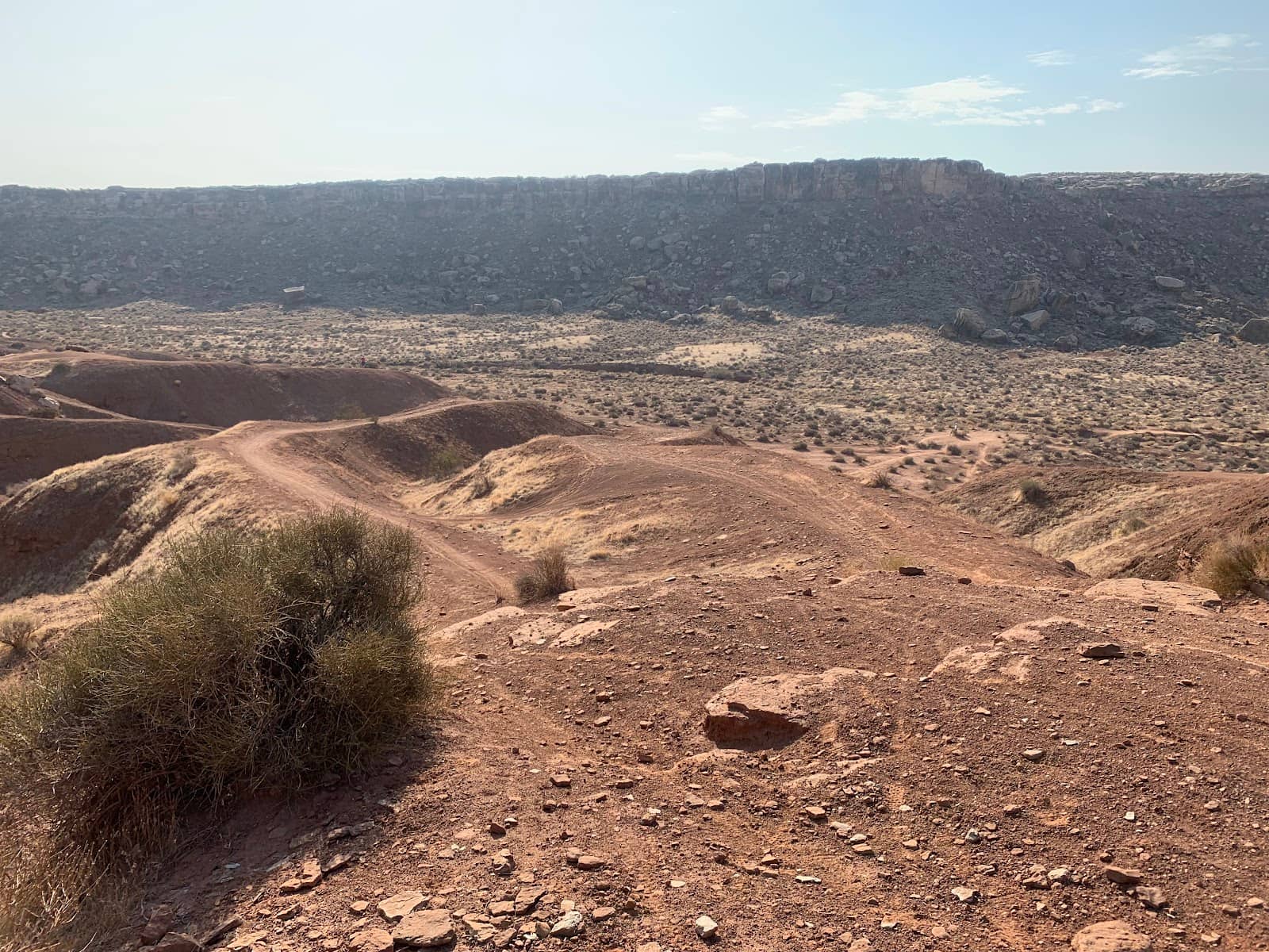 Desert Vistas and Joshua Trees