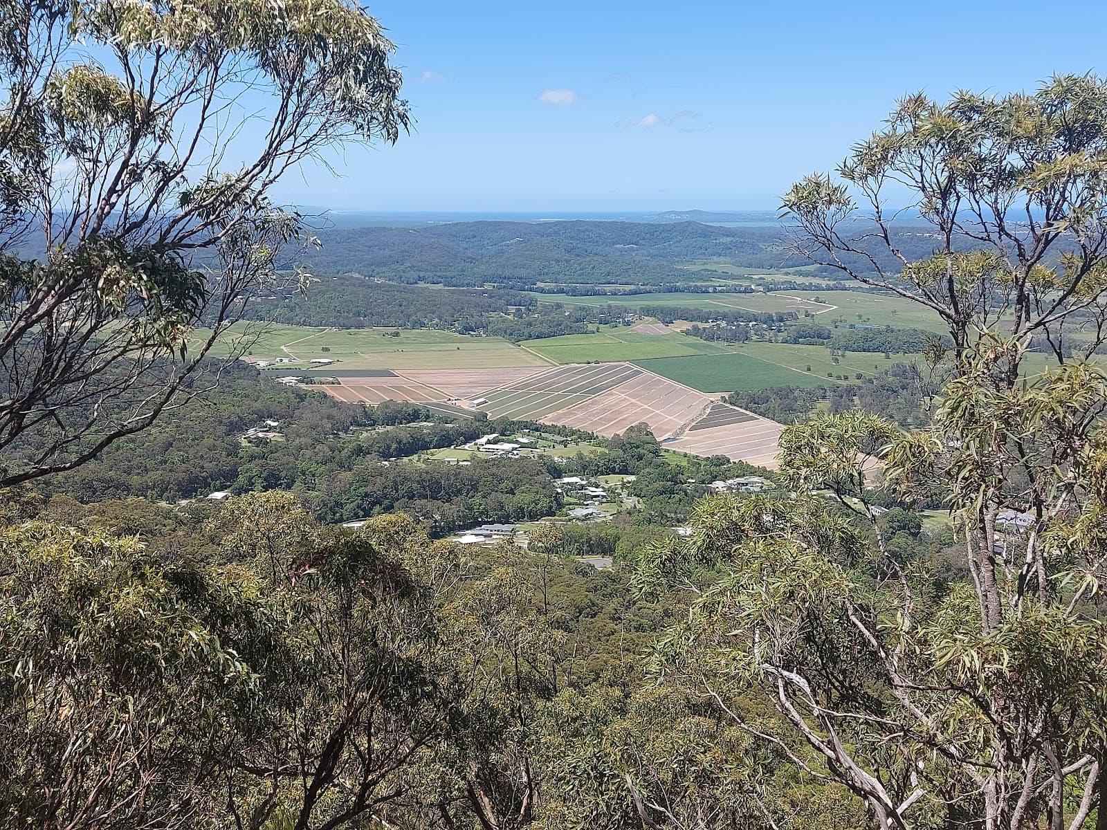 Mount Ninderry Summit Lookout - Image 1