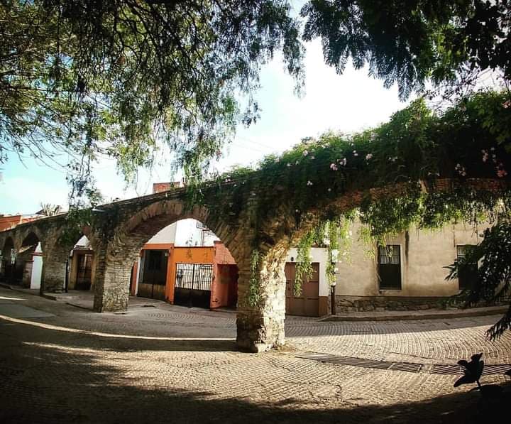 Pastita - Image 1