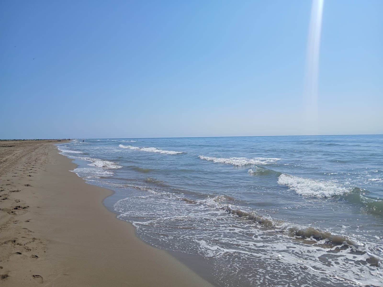 Eucaliptus Beach - Image 1