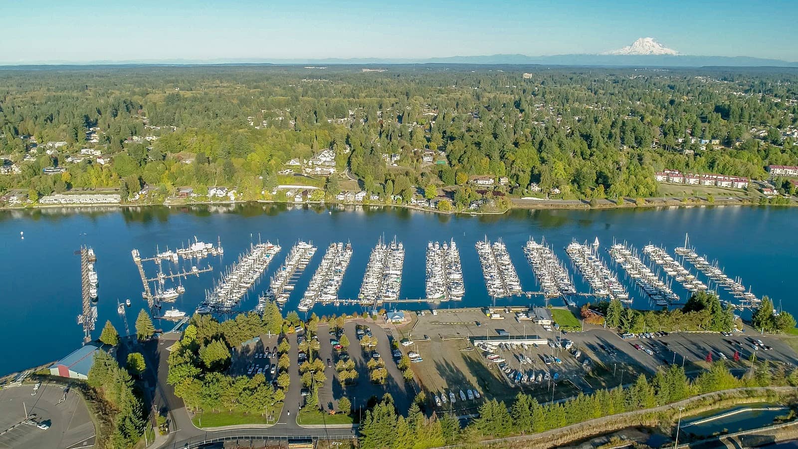 Vibrant Docks