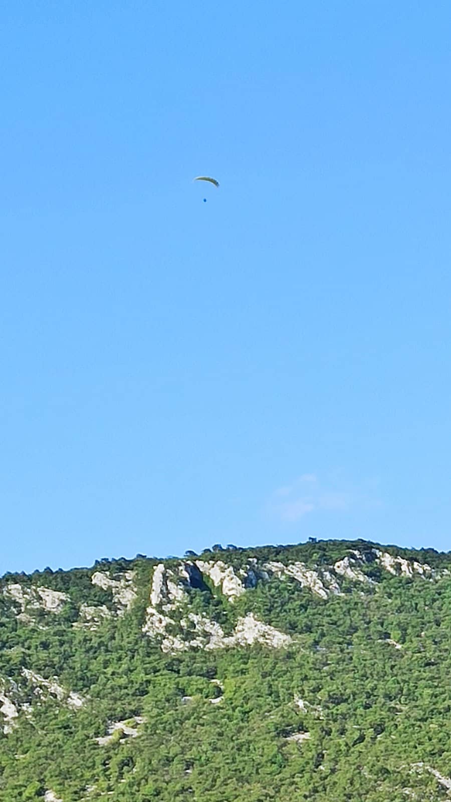 Vertical photo