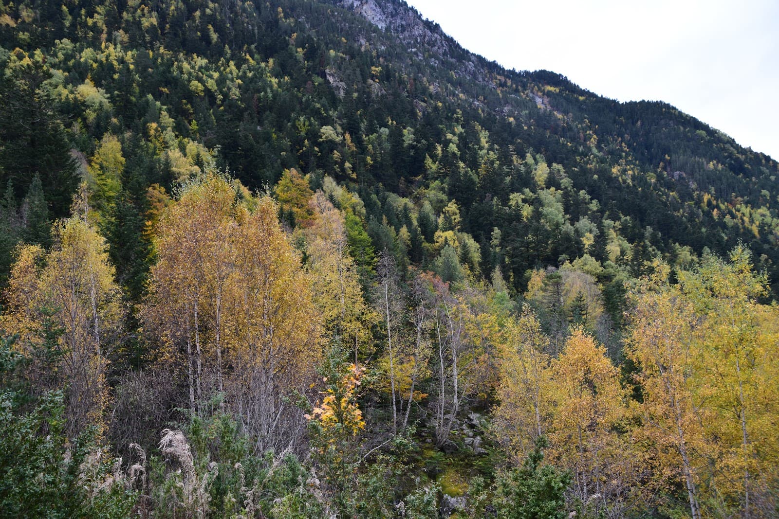 Vall de Sant Nicolau - Image 1